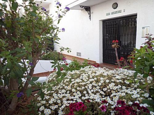 Apartamento Carabeo I 18 Menyber