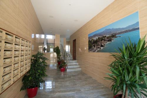 Apartamento Edf. Gaviota 4� 5