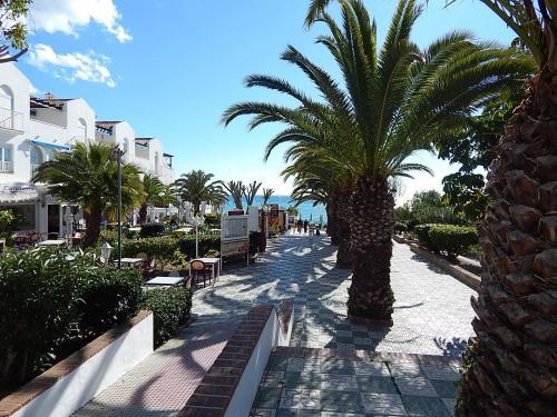 Apartamento Albaida II 6h