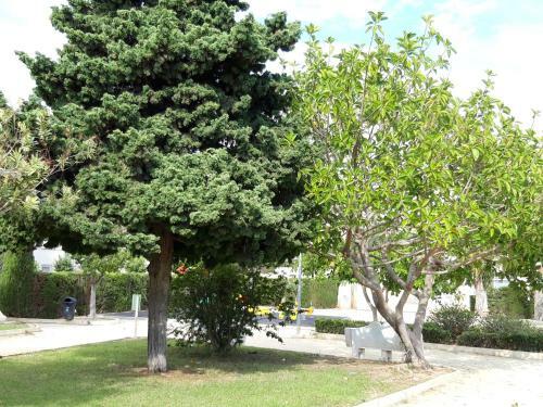 Apartamento Calle Isla Menorca