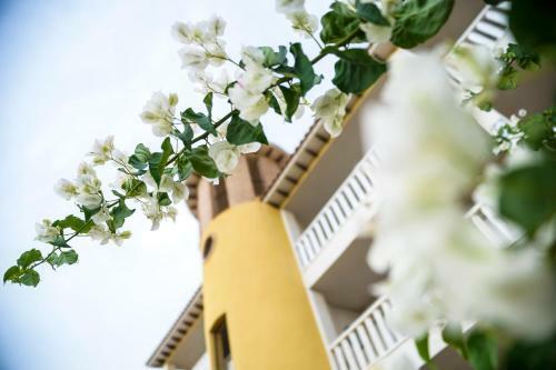 Apartamentos Zenia Boulevard