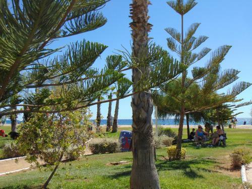 Apartamento Marina -luxury- 9th Floor-1th Line