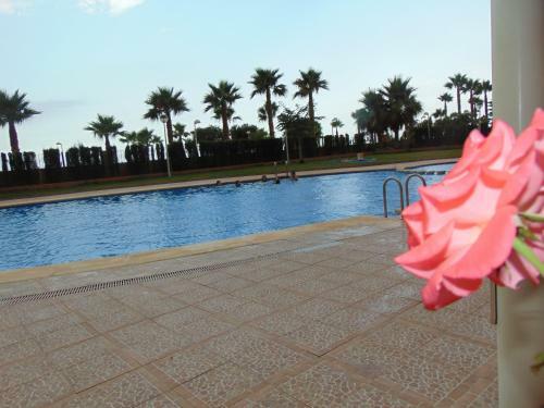Apartamento Marina -luxury- 9th Floor-1th Line