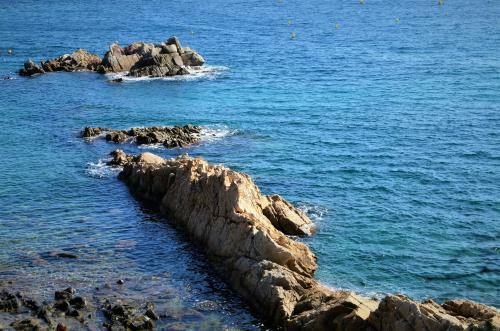 Apartamentos Royal S�alguer