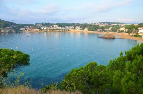 Apartamentos Royal S�alguer
