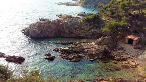 Apartamentos Royal S�alguer