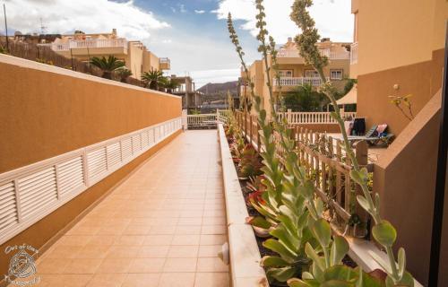 Apartment In Palm Mar Pm/193