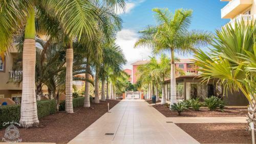 Apartment In Palm Mar Pm/193