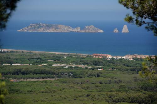 Mas Tomasi Dalt