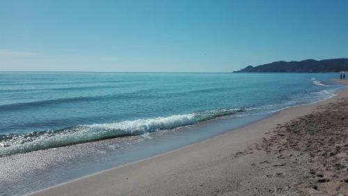 Villa Pals Carles Piscina