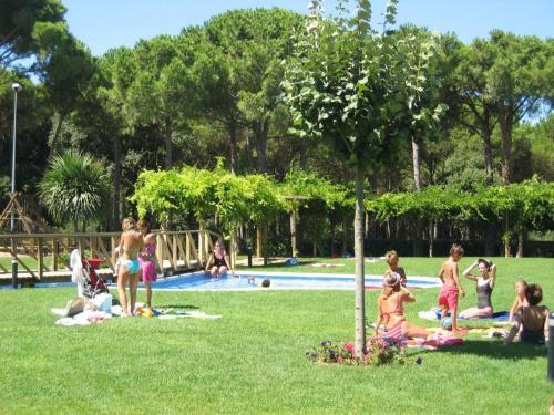 Apartments In Platja De Pals 35727