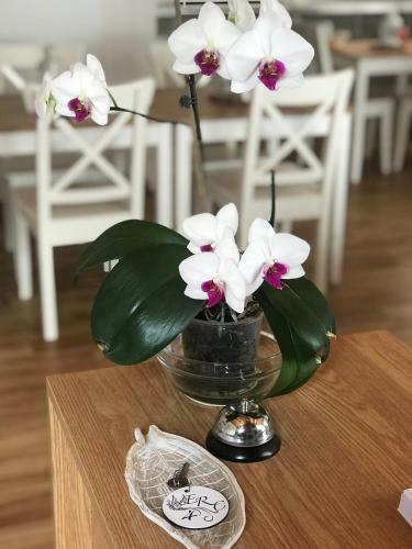 Hotel El Rincon Del Cuera