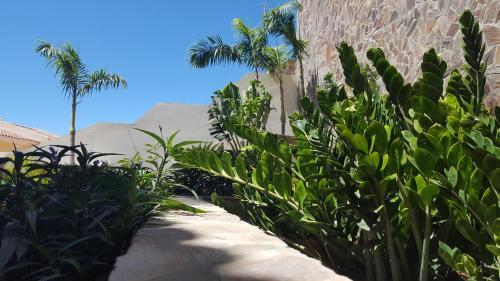 Apartamento Residencial Ventura