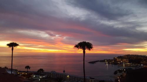 Apartamento Residencial Ventura