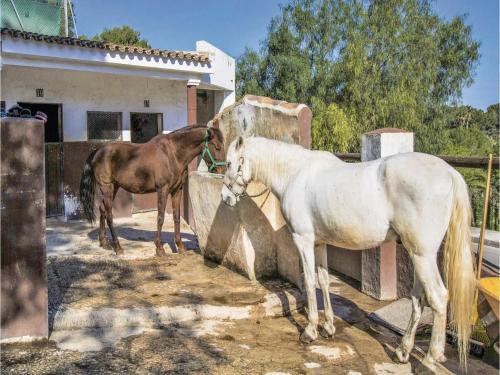 Three-bedroom Holiday Home In Predreguer