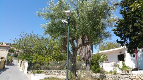 Carabela Sun Holidays 5