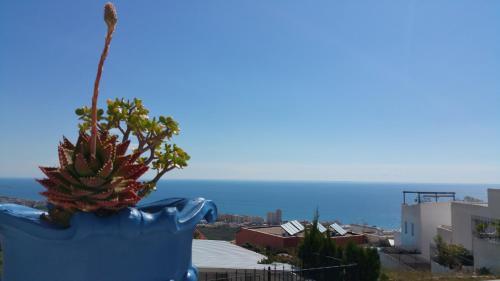 Apartamento Carabela Sun Holidays 3