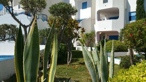 Apartamento Carabela Sun Holidays 3