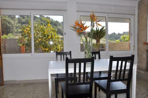 Casa Maniu