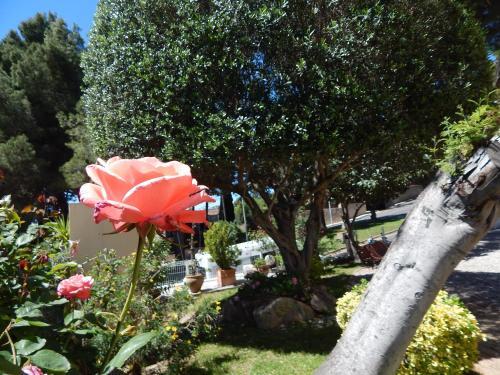 Apartamento Treumal Cala Rovira
