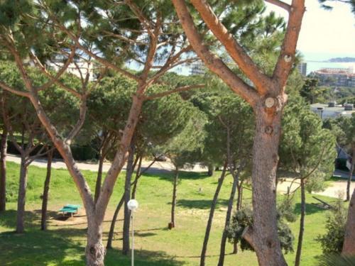 Apartamento Appartement Avec Piscine � Politur