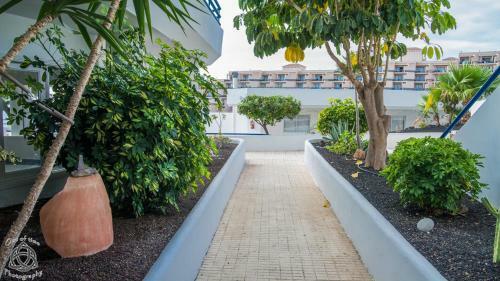 First Line Apartment In Playa Paraiso Pp/70