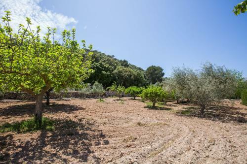 Villa Can Torres (can Torres Nou)