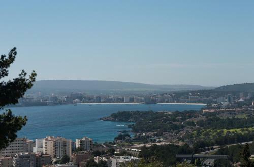Villa Portals Nous Hills