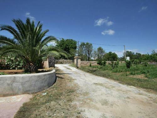 Coll 6