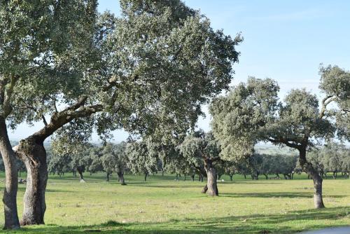 Agroturismo Cortijo La Panadera
