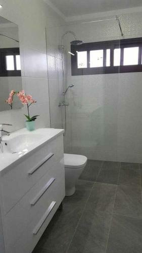 Apartamento Con Terraza Y Piscina C