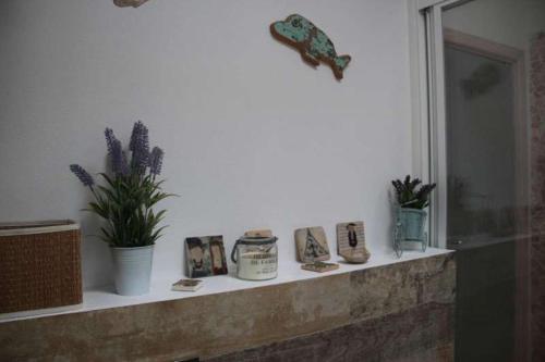 Apartament Xandra