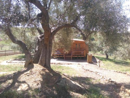 Agroturismo Biznaga