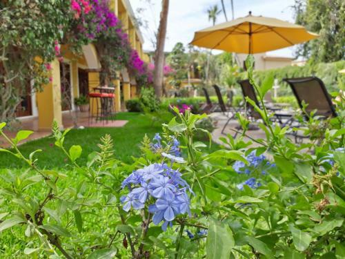Hotel Encanto Inn & Suites