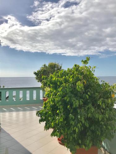 Apartamento Nisamar Atico A