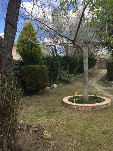 Agroturismo Casa Vicenta