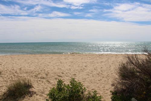Pescadors, En Primera L�nea De Mar