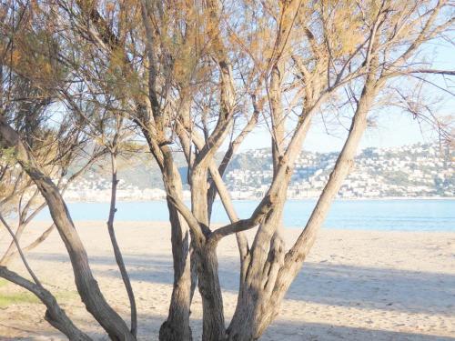 Apartamento Mare Nostrum 131