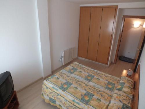 Apartamento Vacances Location 2 P.canigo 302