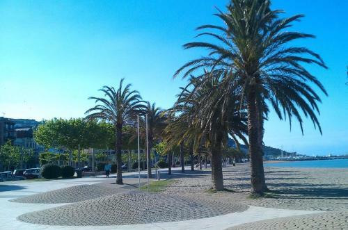 Apartamento Punta Pelegri 318--1� L�nea De Playa