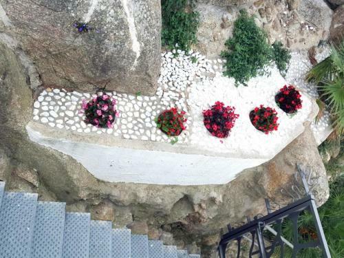 Villa 6018 Cant Dels Ocells