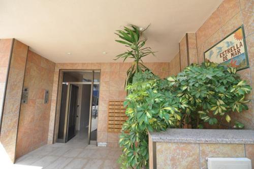 Apartamento Rnet - Estrella De Mar Roses