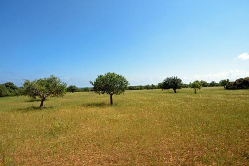 Villa Finca Sa Pletassa