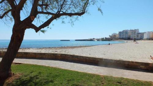 Apartamento Apto Antic 101 Pax 6