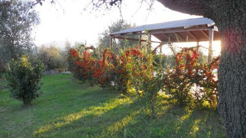 Hotel Maria Caderina Green Village