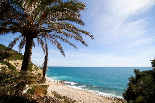 Mediterranea Planet Costa Dorada