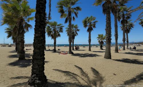 Apartamento Different Pere III