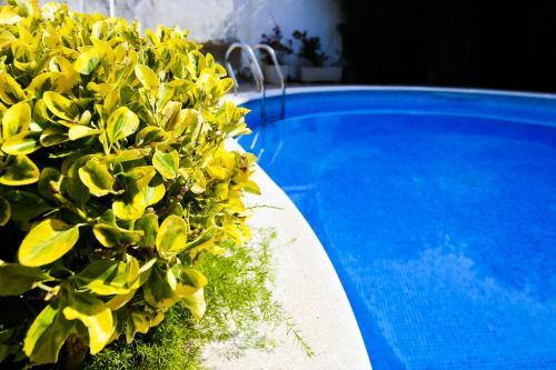 Apartamento Queens Salou Planet Costa Dorada