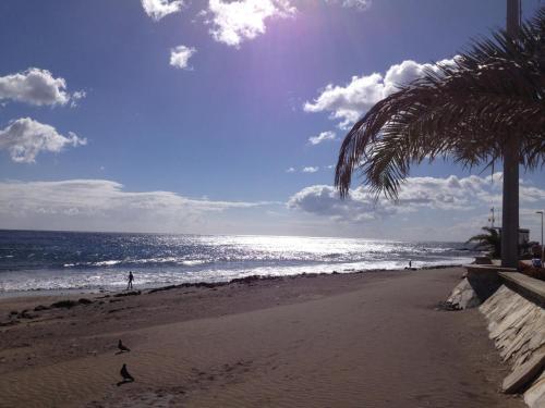 Beachfront Apartment Siesta 21 San Agustin Playa
