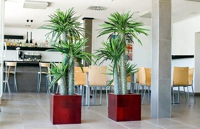 Hotel Playa Grande